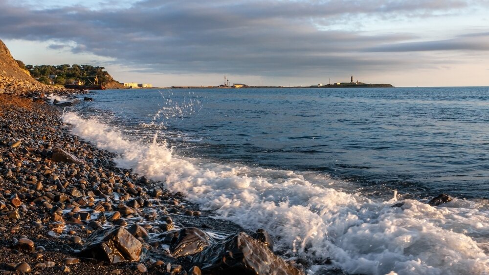    Фото: Shutterstock