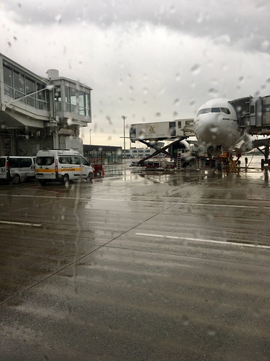 Это могло бы быть последнее фото в моей жизни