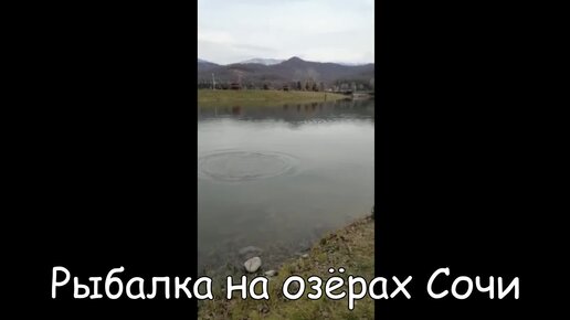 Бомбарда для рыбалки на карпа