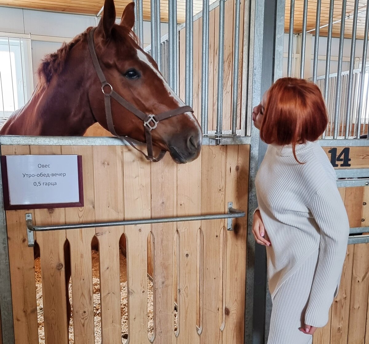 Любовь и забота в конно-спортивном комплексе ЖАСТАР, с.Фирсово (г.Барнаул)