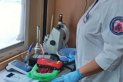    Госветслужба © Пресс-служба Министерства сельского хозяйства и продовольствия Московской области