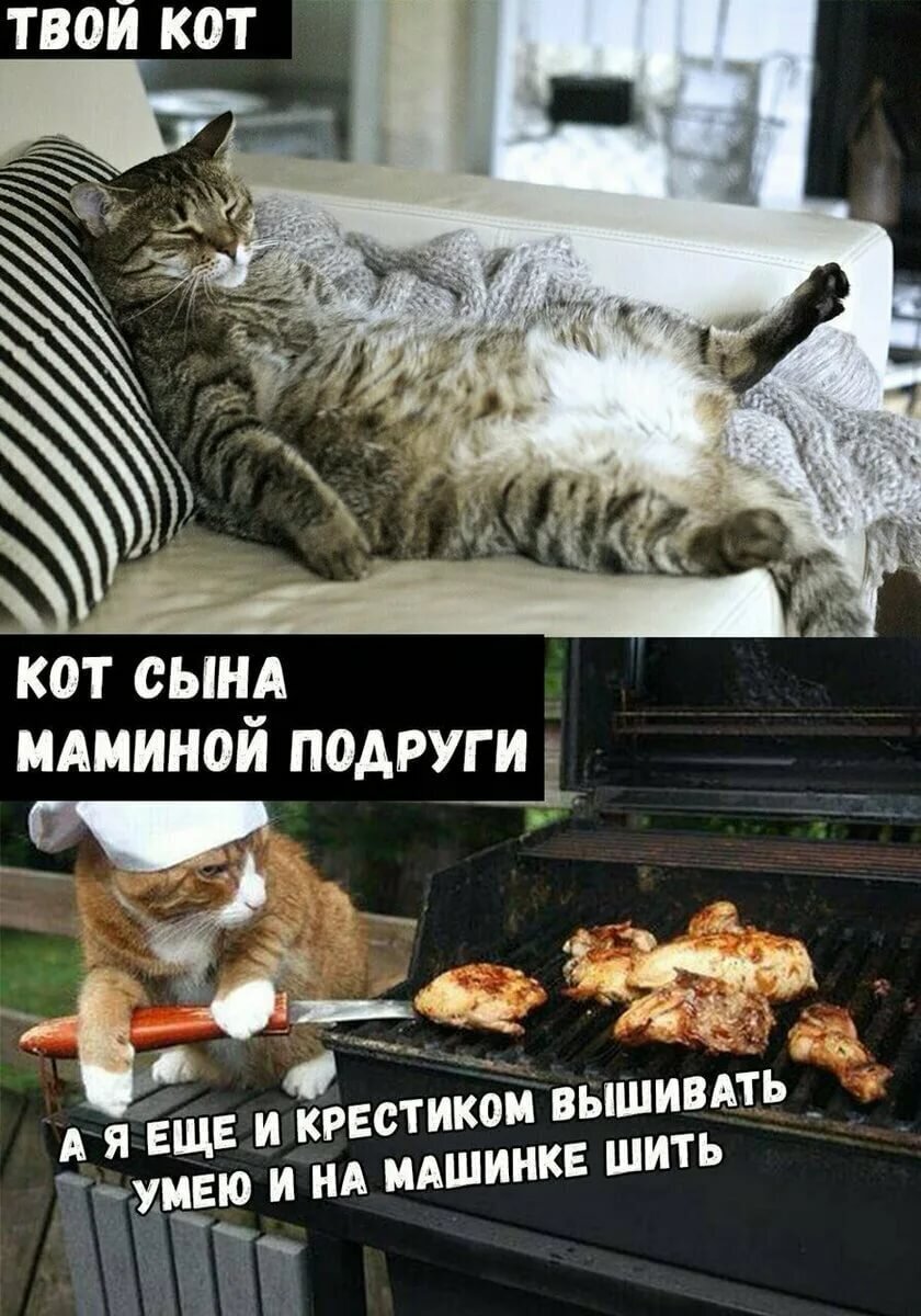 Сплошные таланты!