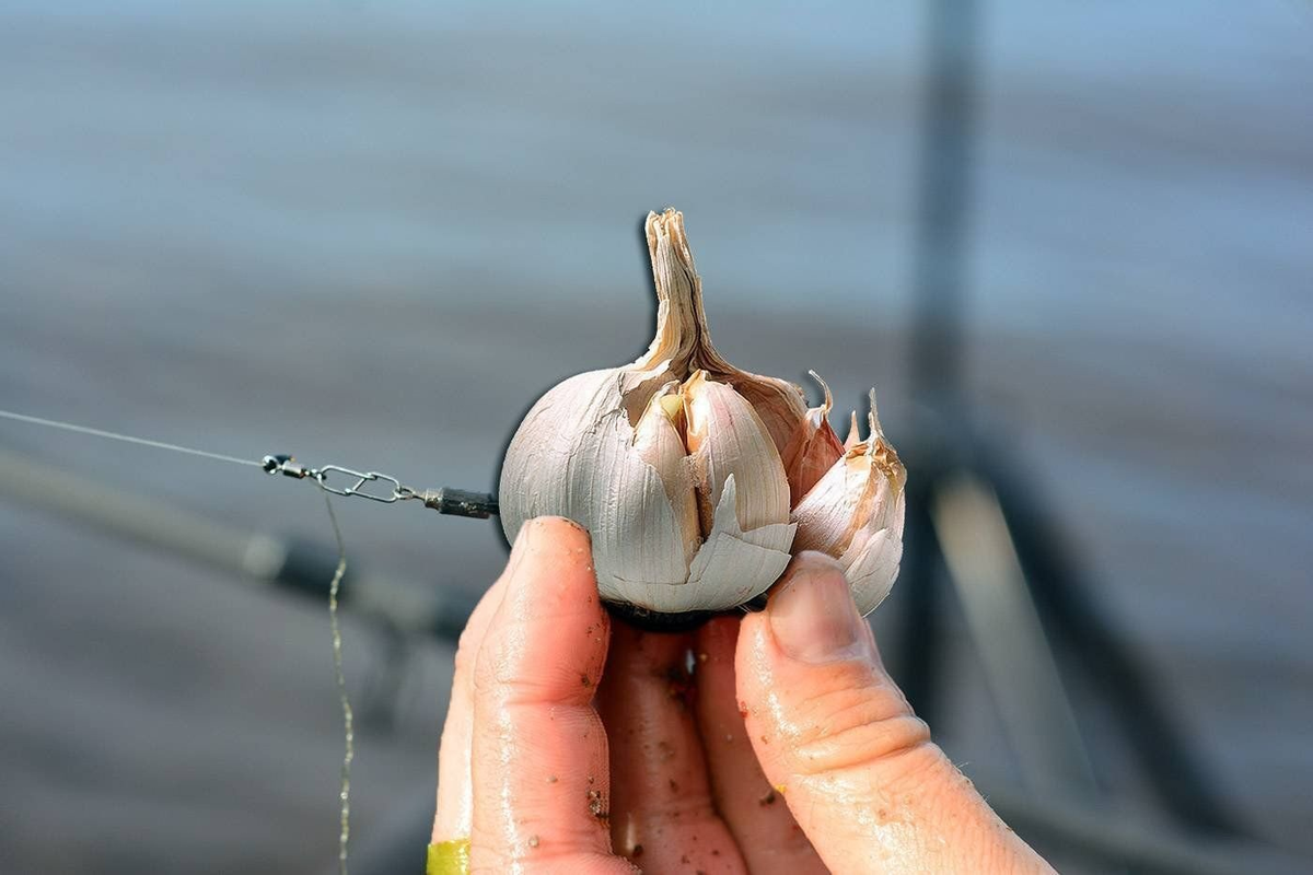 Фото: Яндекс.Картинки 
