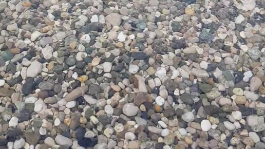 Мой маленький МИР ?? | Утро 18 июня.не спалось...Вышла рано с ...