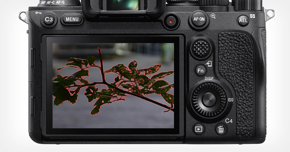 Красный цвет показывает где находится ваш фокус