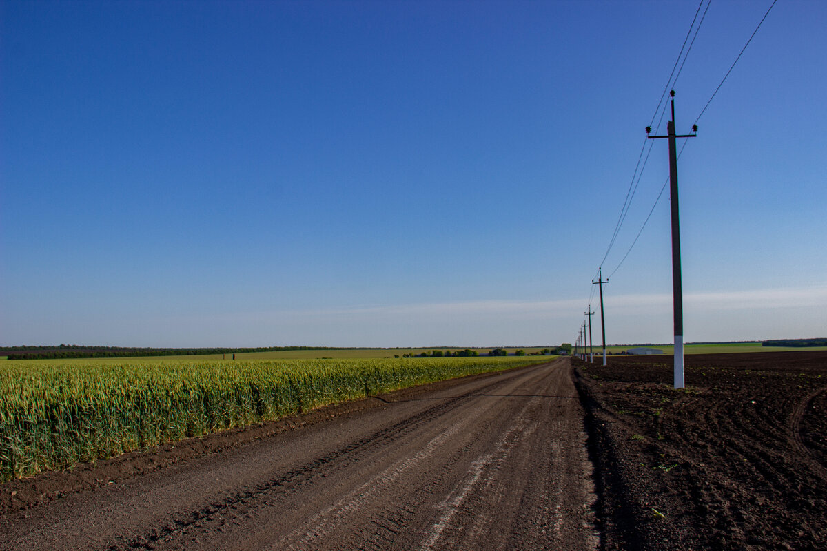 Вдаль по дороге видны ангары мехцеха фермеров, которые обрабатывают поля. 