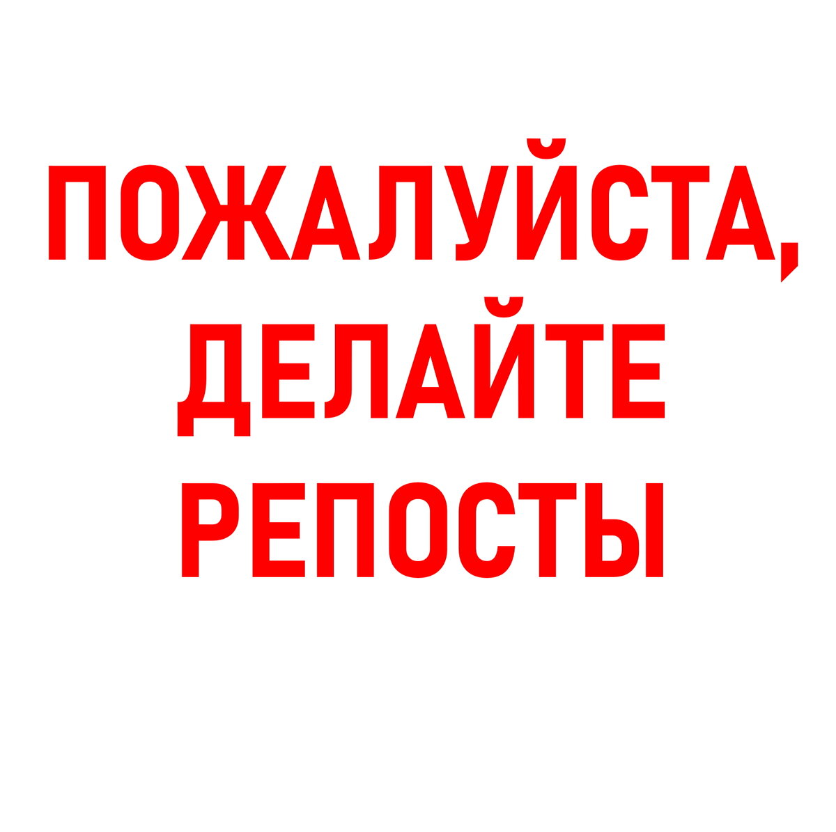 СПб и ЛО. Ищу дом лупоглазой невдупленышу. 1.5 месяца. Девочка⁠⁠ |  Animalrescueed | Дзен