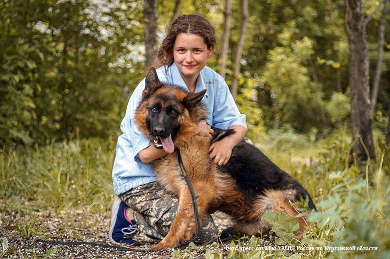 Бизнес план кинологического центра для собак
