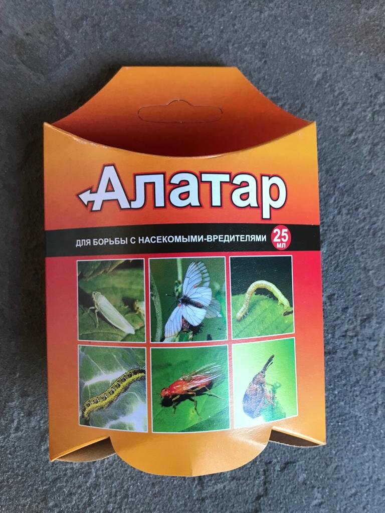 Инсектицид 