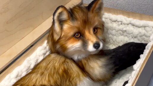 Катя Лейт | Ссылка на практикум в профиле ️ | Дзен