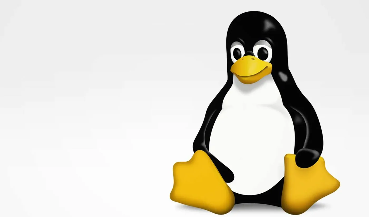 источник Яндекс картинки 