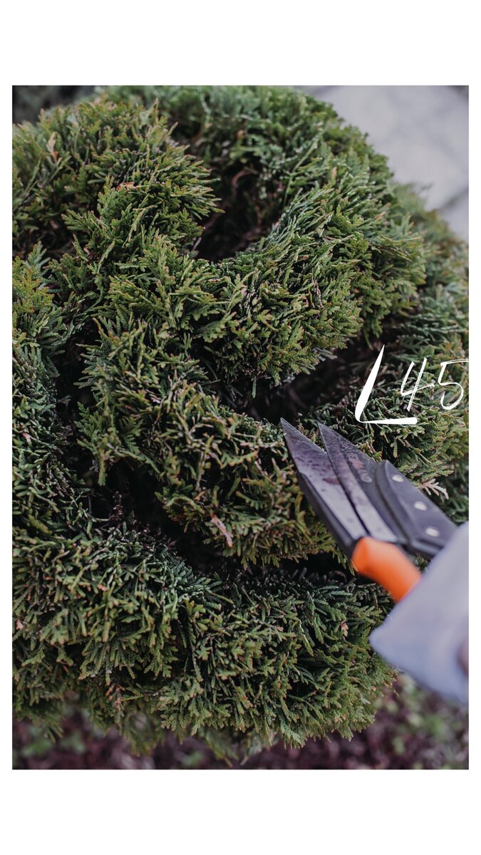 Сначала выстригаем только по верхней части валиков