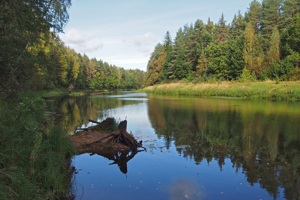 Чистое место. Река Керженец. Керженец Нижегородская. Река Керженец Нижегородская область. Исток реки Керженец.