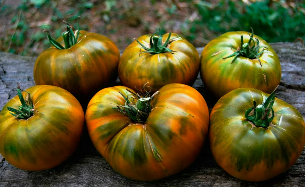 Фотография взята из источника yandex.ru 