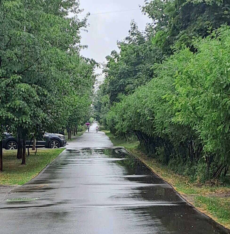 Например, вот по такой аллее, но они не везде.