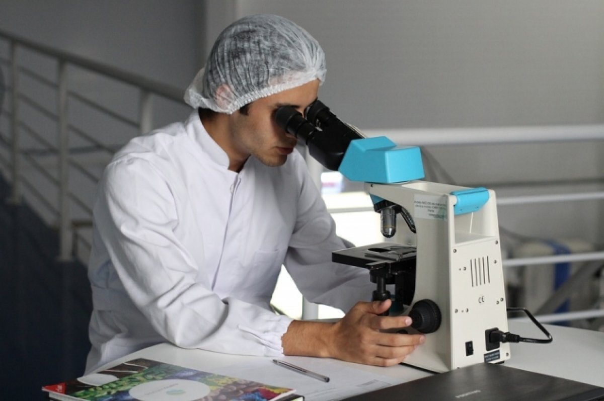    Тюменские ученые планируют получать кормовые добавки из пивной дробины