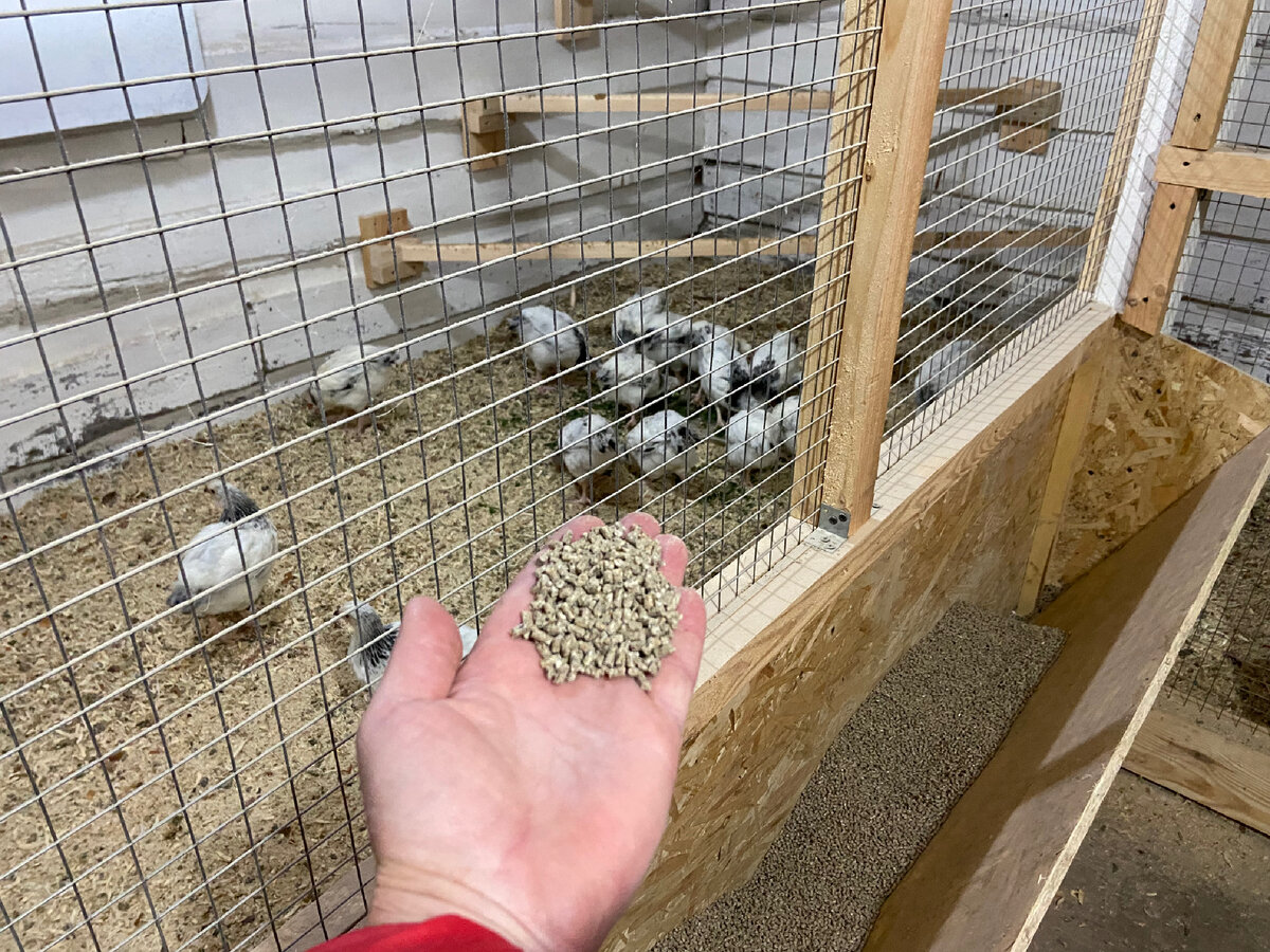 Заводской комбикорм 