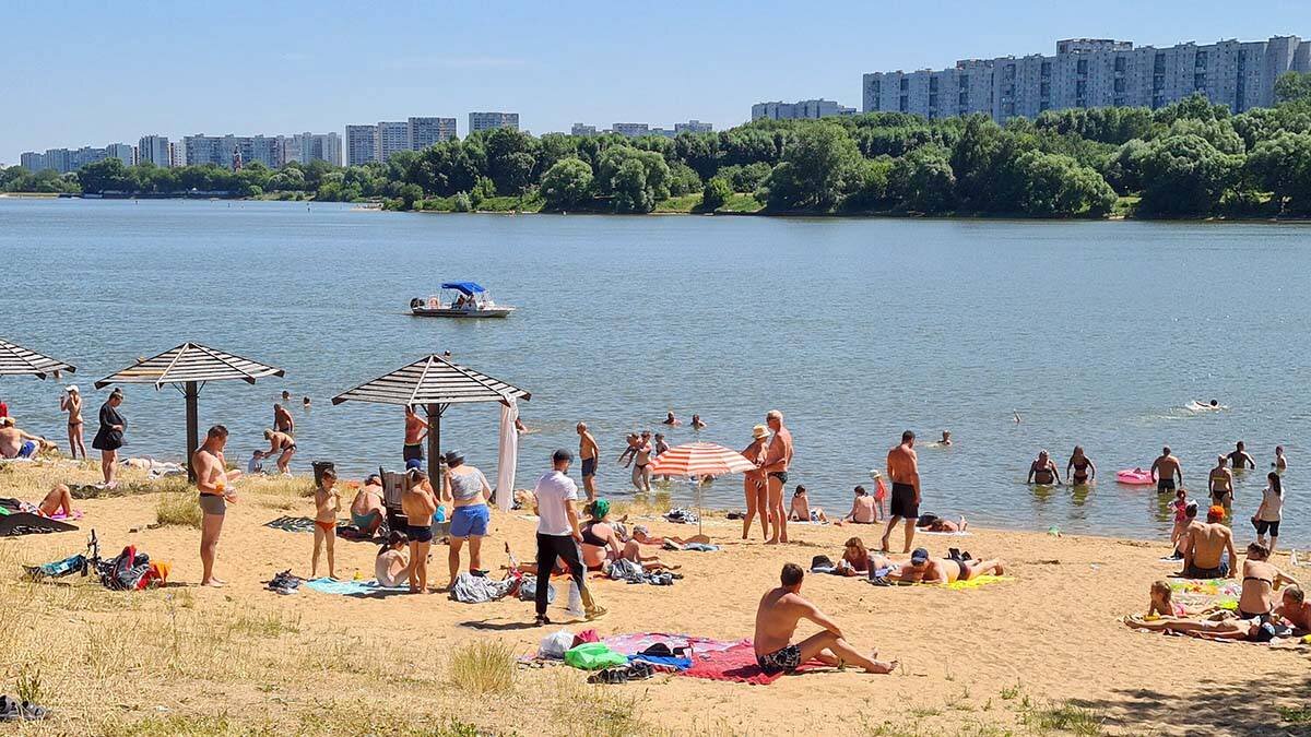 Отдых на пляже в Новой Москве: где позагорать, устроить пикник и покататься  на вейксерфе | Вечерняя Москва | Дзен