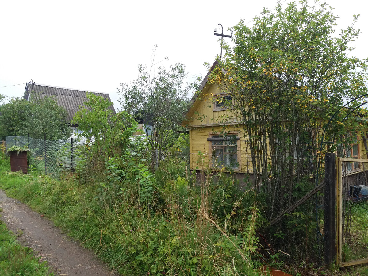 заброшенная дача. заброшенная дача. купили заброшенную дачу. поселок форест заброшенный. заброшенная дача.