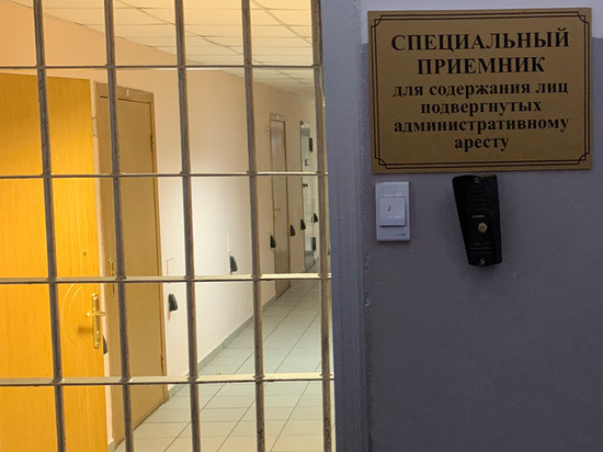 Яндекс картинки 