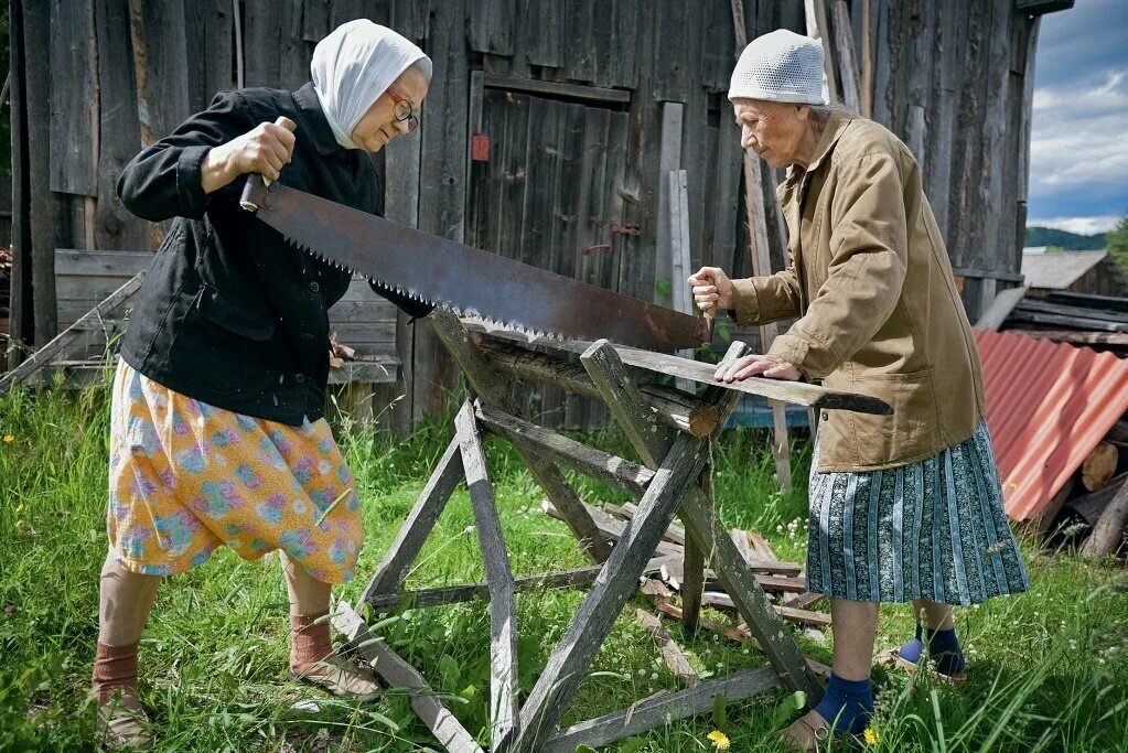 Картинка из свободного доступа