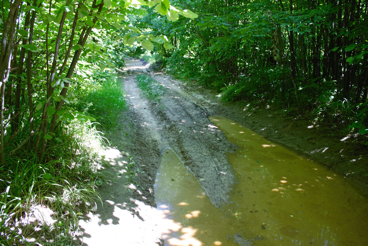 Вот такая она - дорога к "Мертвому" озеру.