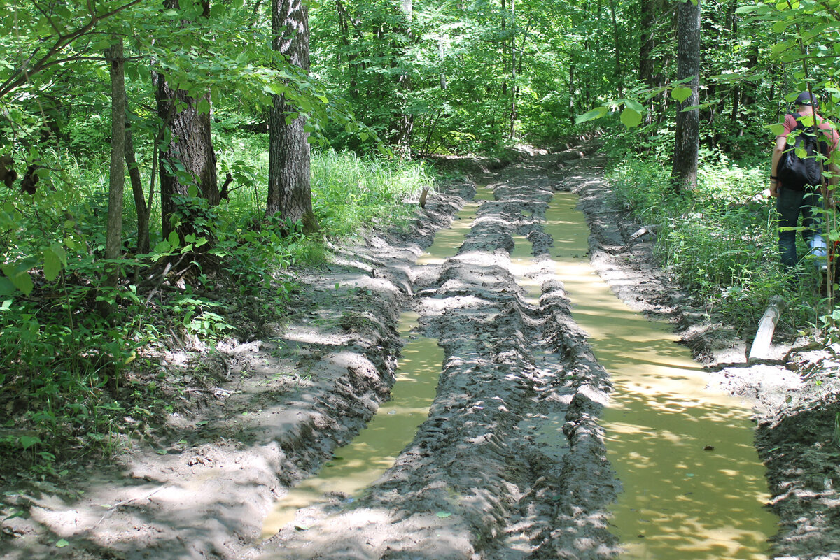 И никуда мы из этой колеи не денемся ...