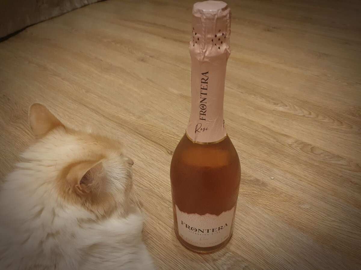Frontera Sparkling Brut