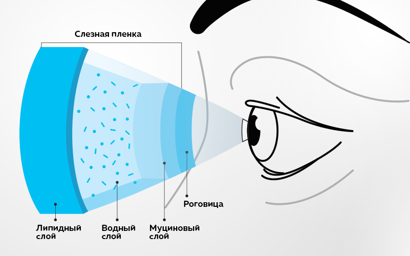 Слёзная пленка