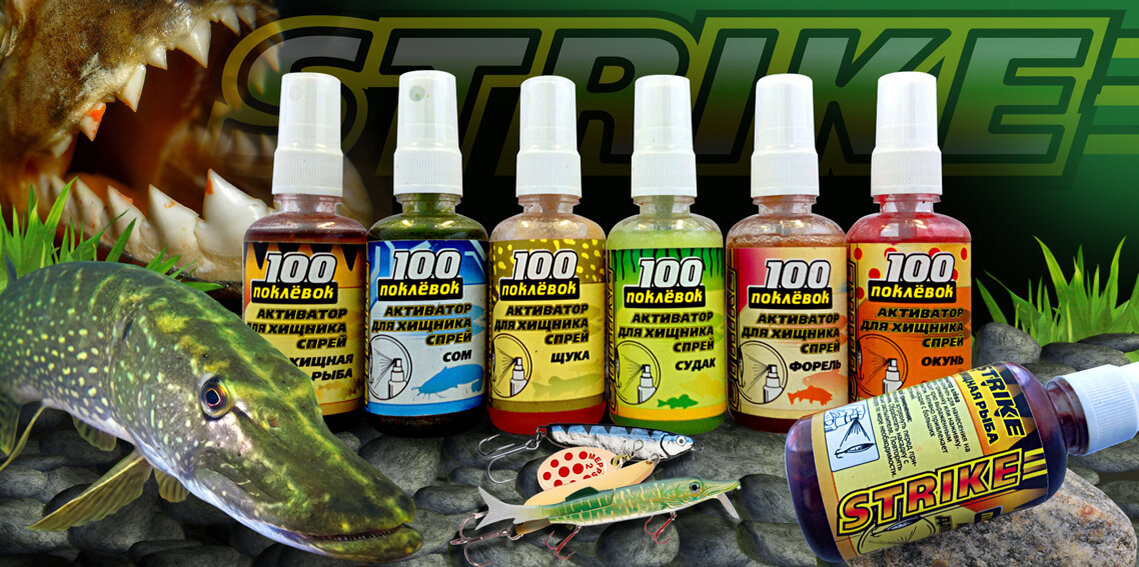 Большой судак. Какой цвет резины любит судак ночью осенью. Какой цвет любит судак. Судак на спиннинг. Какой запах любит судак.