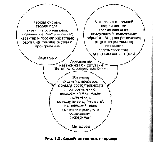 теория поля в гештальт терапии. теория поля в гештальте. теория поля. курт левин теория поля. структура сессии в гештальт терапии.