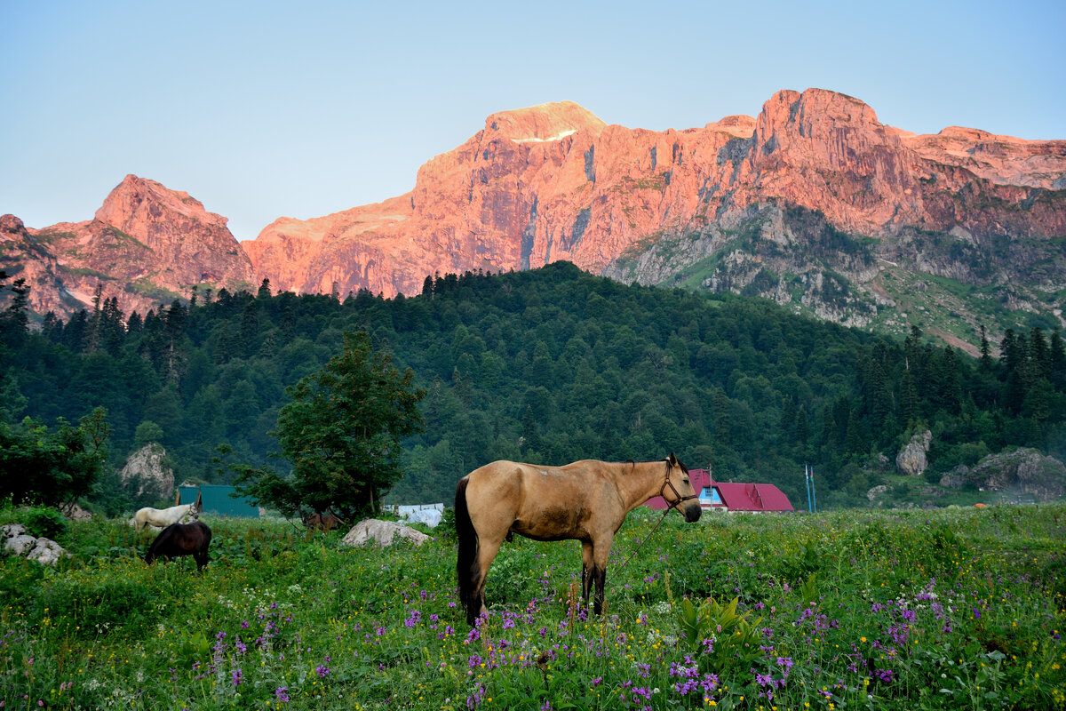 Фишт гора фото в хорошем качестве