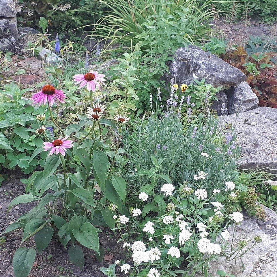    Соцсети блогера morozinca