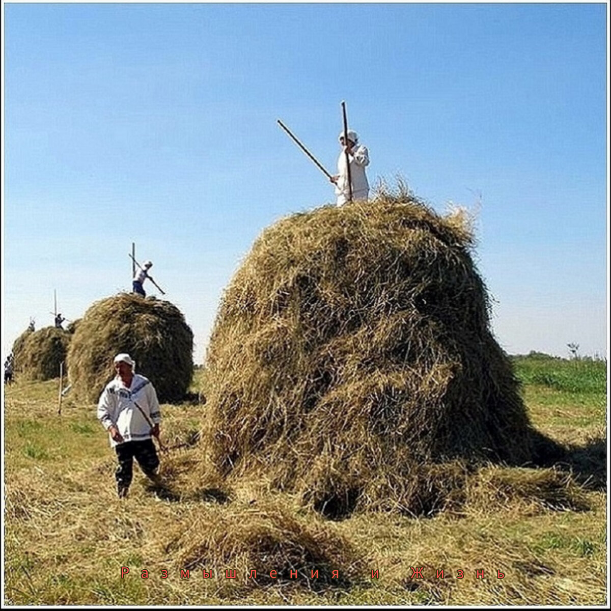 Носить сено. Лето в деревне сенокос. Деревня поле сенокос. Деревня сено. Заготовка сена в деревне.