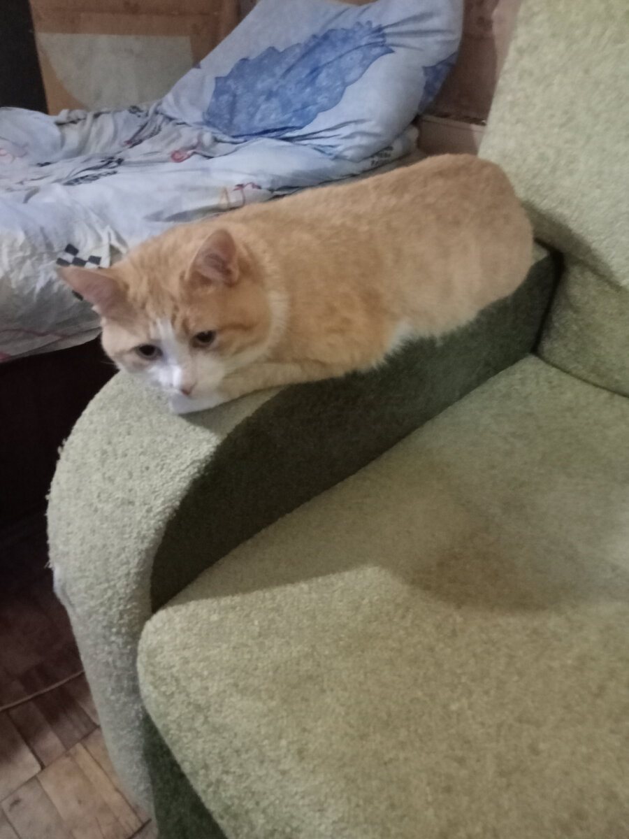 Кузя.