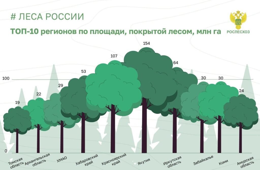    Фото: министерство лесного хозяйства и пожарной безопасности Амурской области