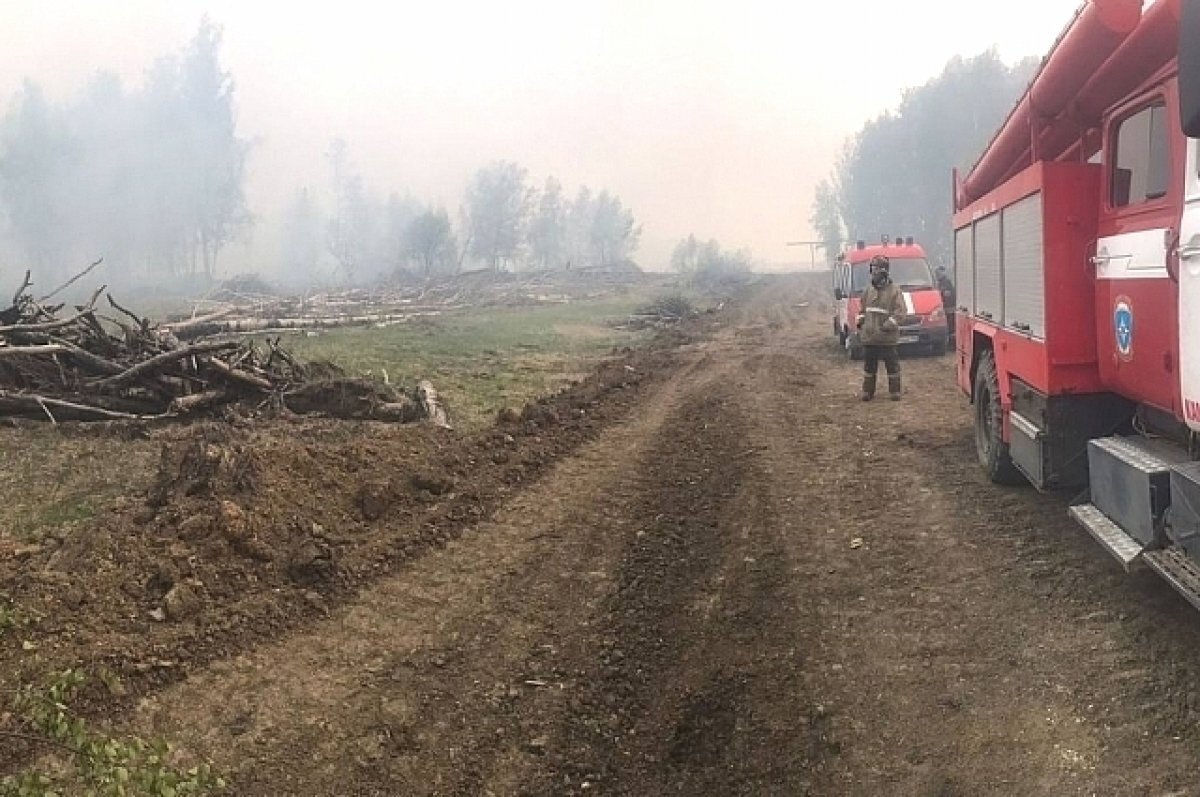 Онлайн карта лесных пожаров в свердловской области