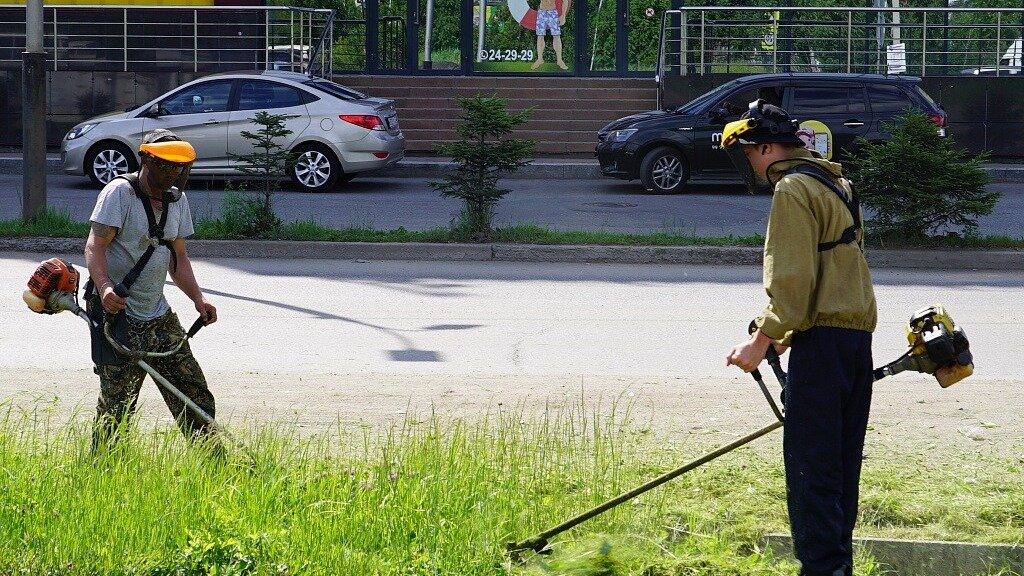     В краевом центре продолжает бороться с растительностью на газонах. Также проводится плановая работа по очистке территории от мусора.