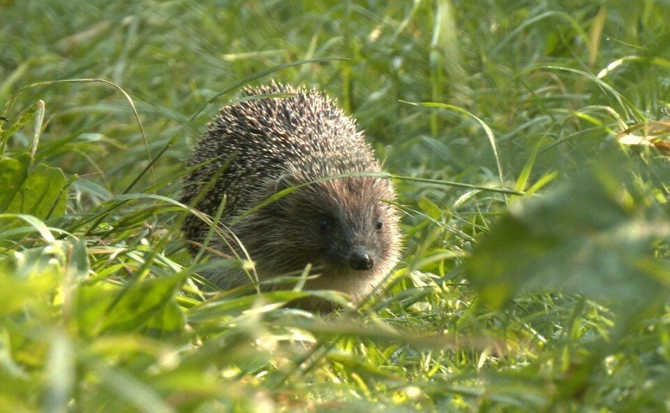    Фото: Павел ГЛАЗКОВ