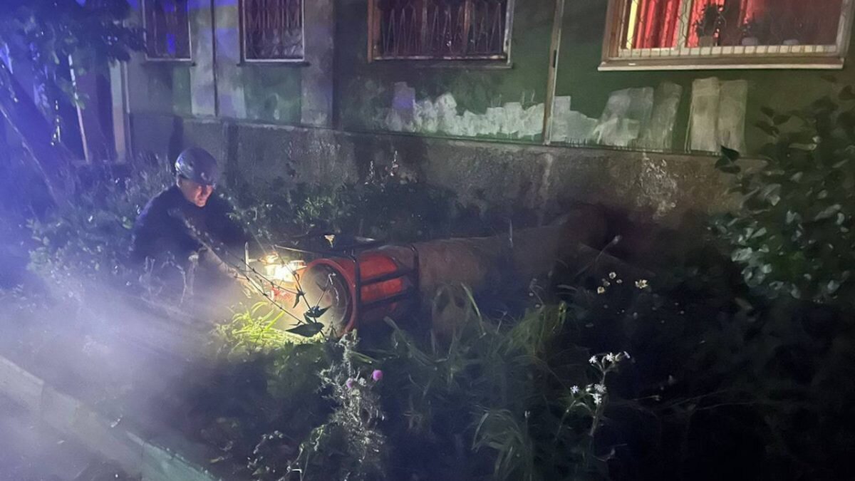    Фото: ДЧС ВКО Август Макаров