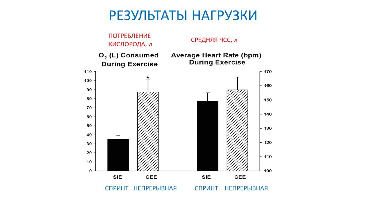 Какая тренировка сильнее ускоряет метаболизм. Научный эксперимент | Василий  Волков | Дзен