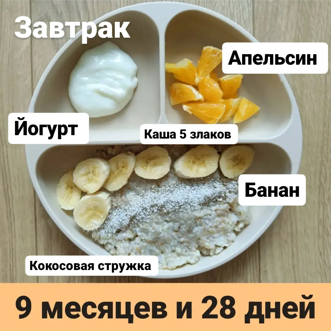 Пример тарелки в 9 месяцев 