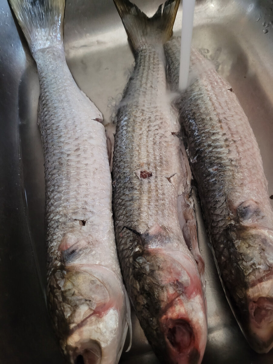 Фото автора.Готовим свежую рыбку.