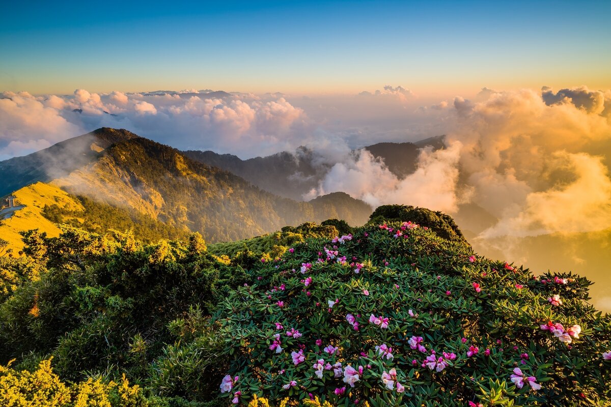 Природа Тайваня/ © intaiwan.ru