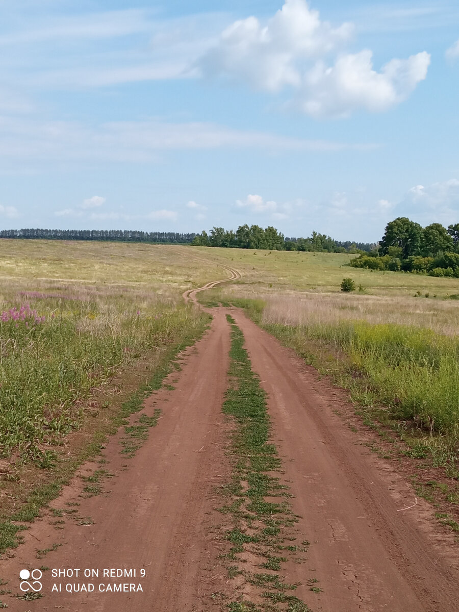 ❖Д о р о г а ❖ (фото автора) 