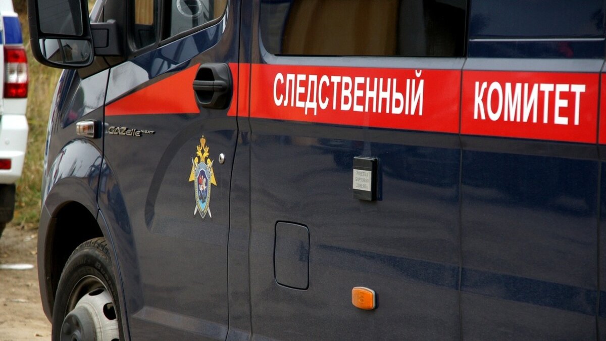     38-житель Тюмени, планировавший теракт в Исетском районе, мог работать в одном из магазинов Тюмени, специализирующемся на торговле одеждой, экипировкой и армейской атрибутикой.