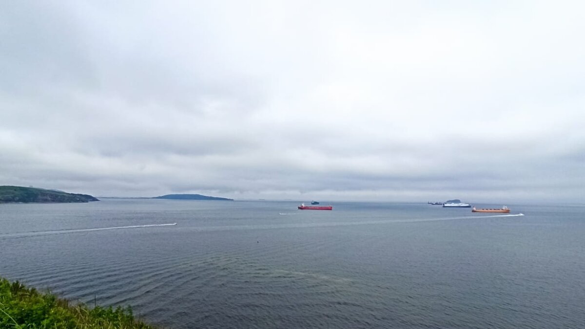     С Днём рыбака поздравил жителей Приморского края губернатор Олег Кожемяко. Он отметил, что этот праздник в регионе уже давно приобрёл статус профессионального.