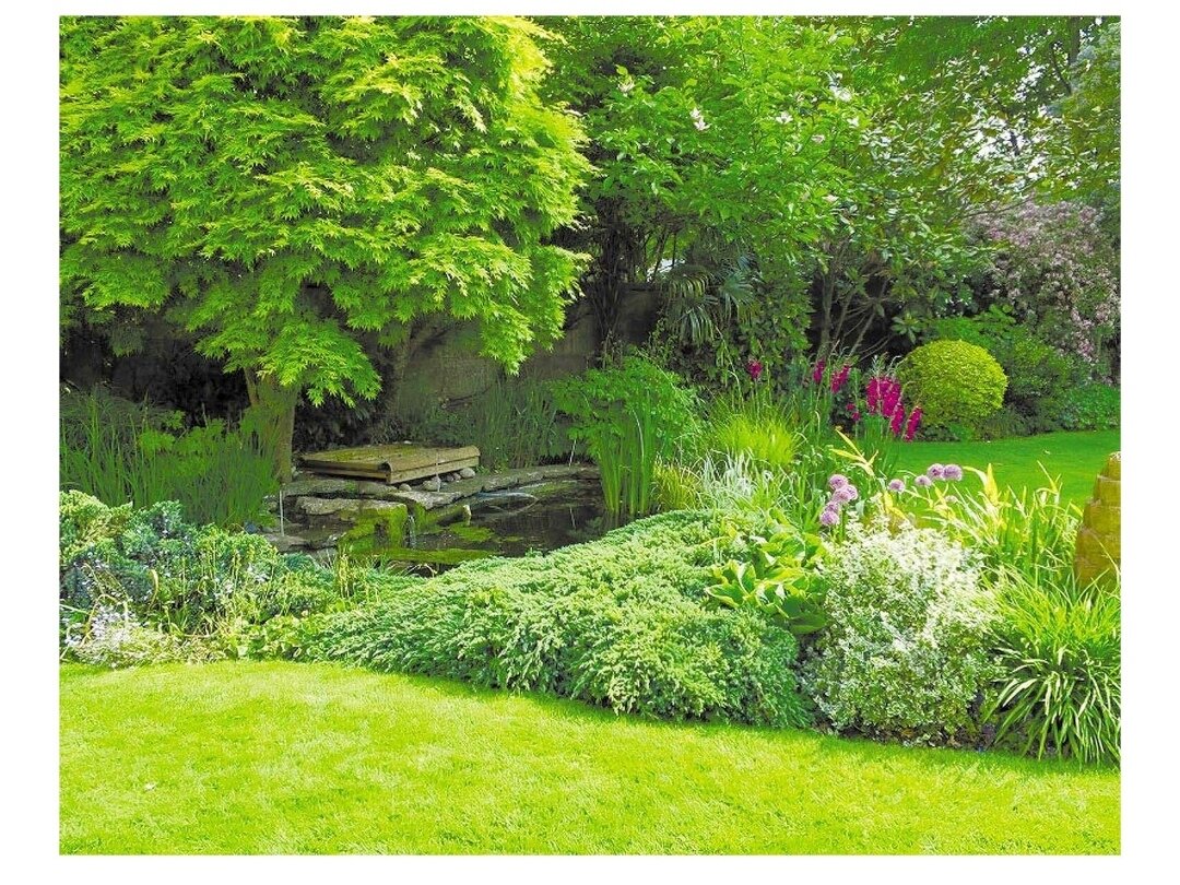 Хочется видеть такую картинку вместо забора? 