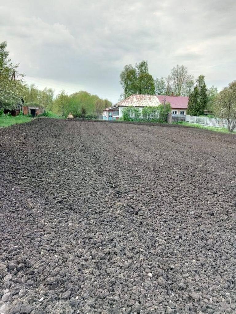 Участок, раньше был поделен на несколько огородов между родственниками. А сейчас выглядит как ровное поле, но качество вспашки, конечно, не очень. Нет рыхлости.