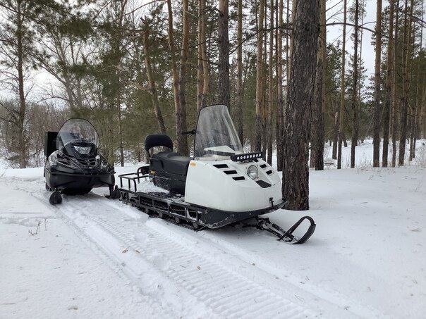 Буран не будет отставать от двухлыжников и станет тише многих